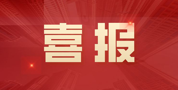 喜報！華日升公司榮獲各級表彰
